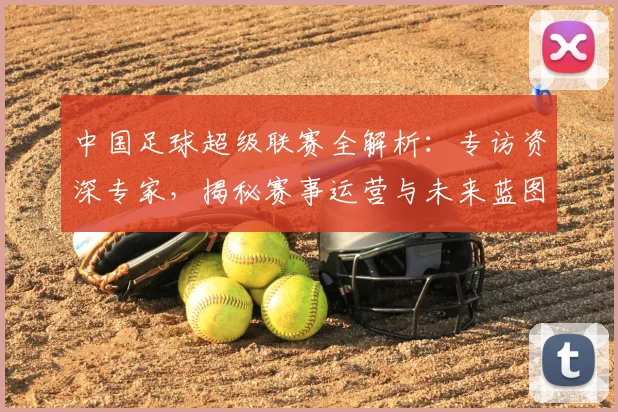 中国足球超级联赛全解析：专访资深专家，揭秘赛事运营与未来蓝图