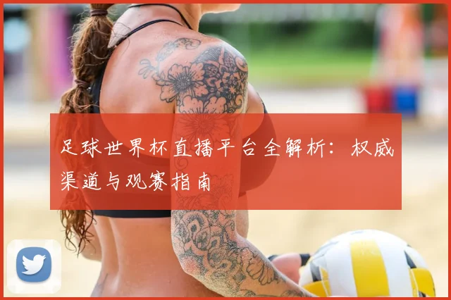 足球世界杯直播平台全解析：权威渠道与观赛指南